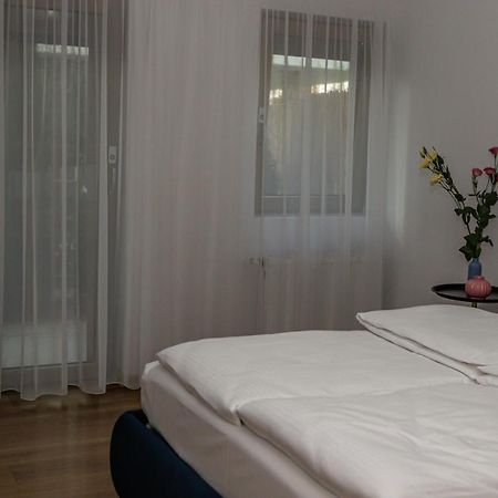 Sasu Apartment Тимишоара Екстериор снимка