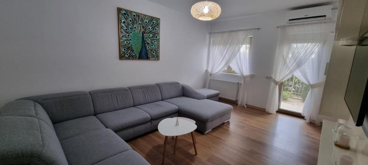 Sasu Apartment Тимишоара Екстериор снимка