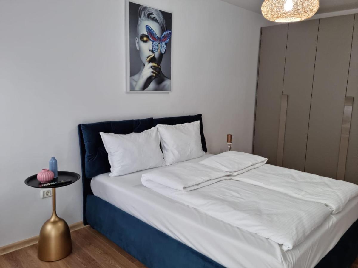 Sasu Apartment Тимишоара Екстериор снимка